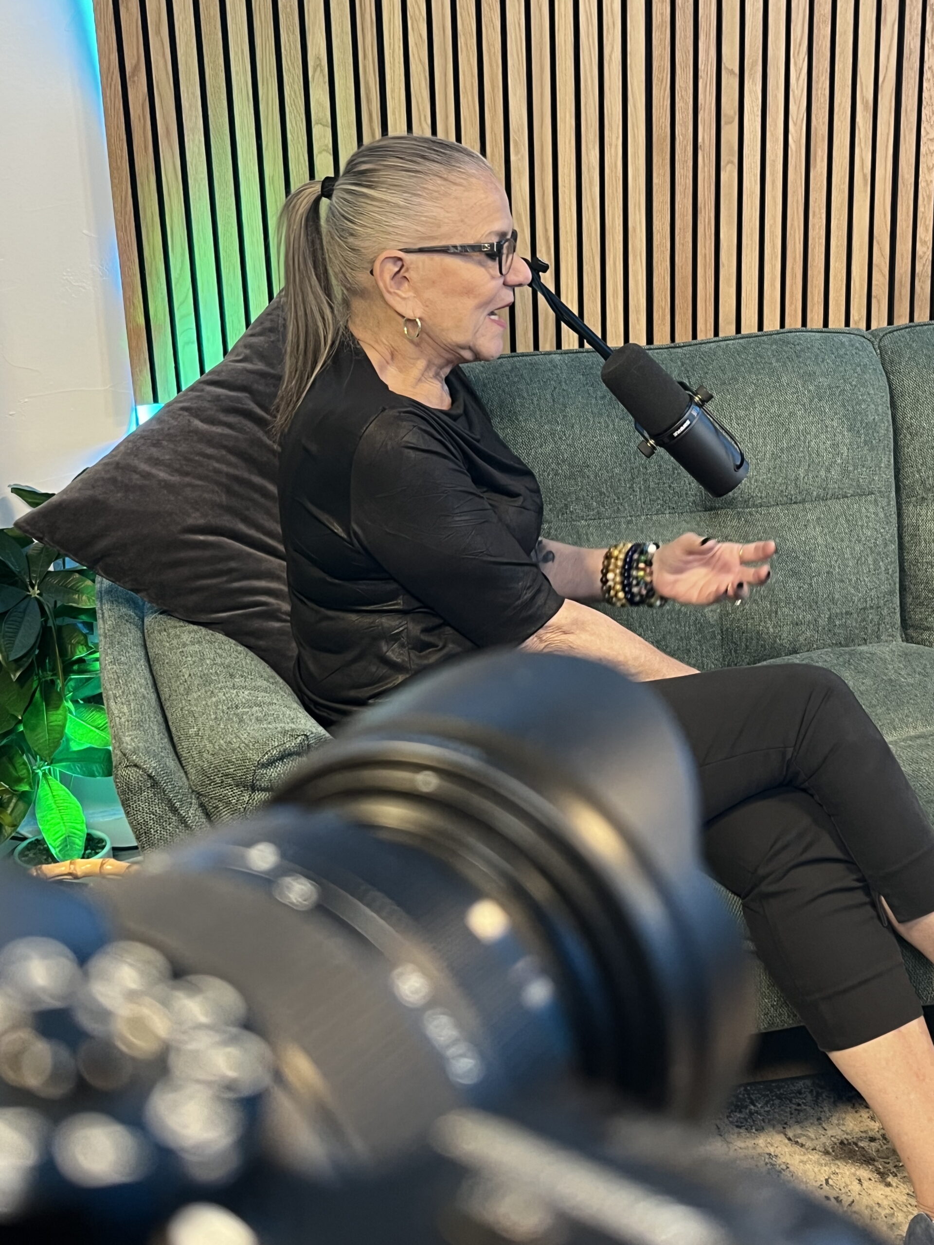 אורחים באולפן